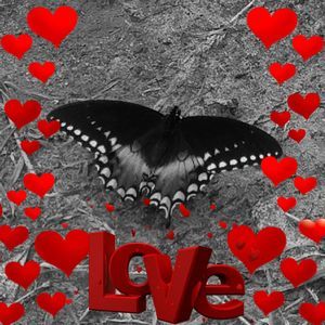 Meet your Posher, Marcie